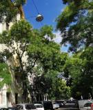 Budapest, V. kerület - Lipótváros